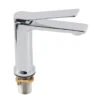 Rushy Basin Mixer