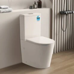 Avis Compact Rimless Toilet Suite | CETO