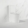 Azaria Wall Face Rimless Tornado Toilet