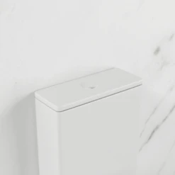 Azaria Wall Face Rimless Tornado Toilet -HERA BATHWARE azaria wall face rimless tornado toiletgloss white with rt cisterntoilet suitesfifth ave 801158