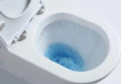 Campbell Wall Faced Tornado Flush Large Toilet Suite Gloss White -HERA BATHWARE campbell wall faced tornado flush large toilet suite gloss whitegloss whitetoiletlouis marco 905755