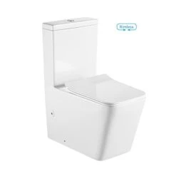 Caserta Rimless Flushing Backto Wall Toilet BL-103N-TPT