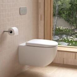 CONTURA II Cleanflush® Invisi Serise II® Wall Hung Toilet Suite | CAROMA 15 CONTURA II Cleanflush® Invisi Serise II® Wall Hung Toilet Suite | CAROMA -HERA BATHWARE contura ii cleanflush invisi serise ii wall hung toilet suite caromainvisi ii cistern 237003matte claytoiletcaroma 605658