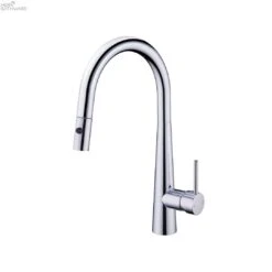 DOLCE Pull-Out Sink Mixer With Vegie Spray Function