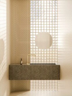 Opal Progressive Tall Basin Set -HERA BATHWARE opal progressive tall basin setbrushed goldtall basin mixernero tapware 988668