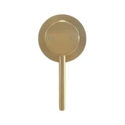 Pentro Brushed Yellow Gold Round Shower Mixer With 65mm Thin Plate