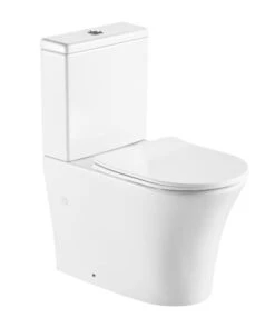 Emilia MK II Back To Wall Rimless Toilet Suite | Johnson Suisse