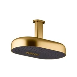 Statement Dual Function Deep Massage Rainhead -HERA BATHWARE statement dual function deep massage rainheadbrushed brasskohler 430535