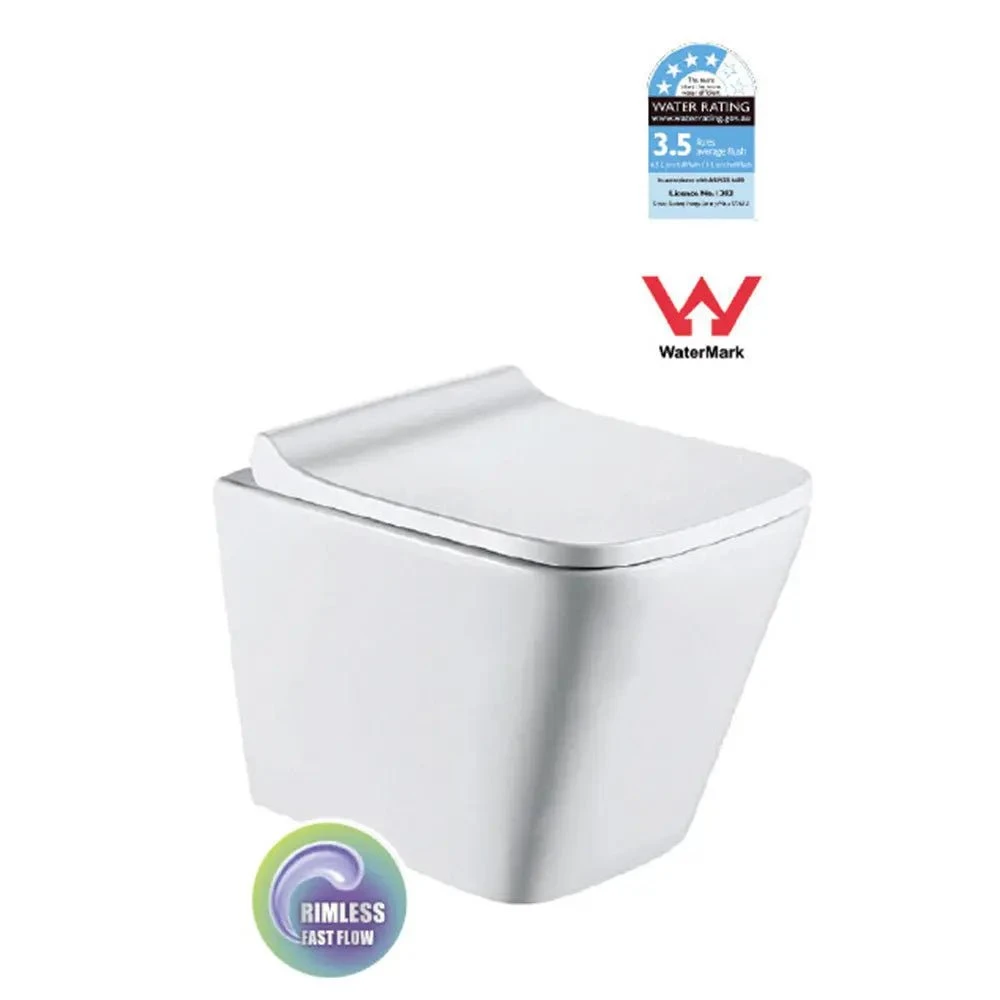 T052E Wall Hung Rimless Pan With RT Cistern 2 T052E Wall Hung Rimless Pan With RT Cistern - Image 2