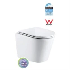 T053E Wall Hung Rimless Pan With Geberit Cistern