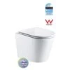 T053E Wall Hung Rimless Pan With RT Cistern
