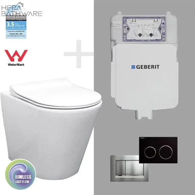 T1003D Floor Mount Rimless Pan With Geberit Cistern 1 T1003D Floor Mount Rimless Pan With Geberit Cistern