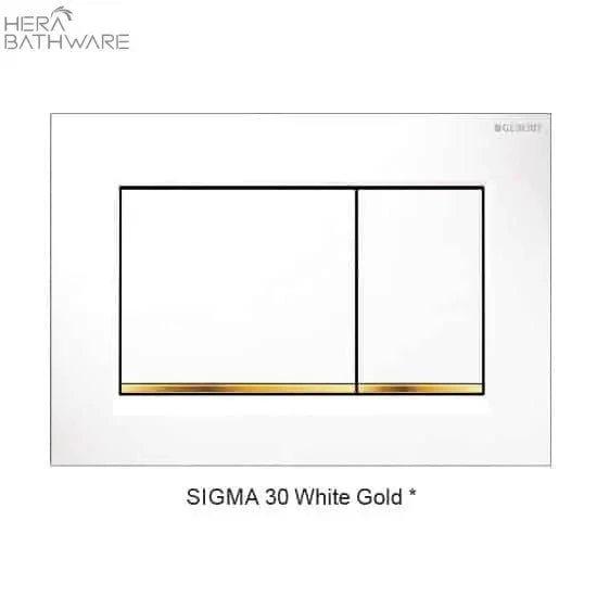 T1003D Floor Mount Rimless Pan With Geberit Cistern 20 T1003D Floor Mount Rimless Pan With Geberit Cistern - Image 20