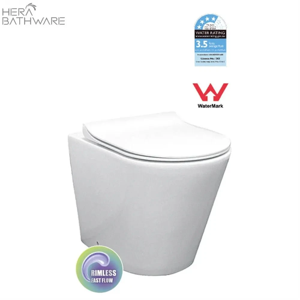 T1003D Floor Mount Rimless Pan With RT Cistern 2 T1003D Floor Mount Rimless Pan With RT Cistern - Image 2