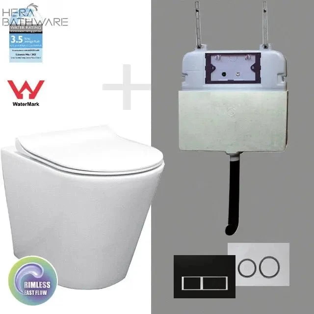 T1003D Floor Mount Rimless Pan With RT Cistern 1 T1003D Floor Mount Rimless Pan With RT Cistern