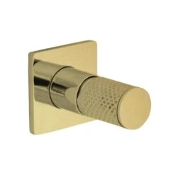 THE GABE Shower Mixer - Brushed Gold