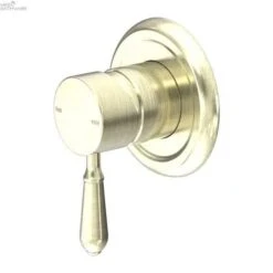 YORK Shower Mixer 13 YORK Shower Mixer -HERA BATHWARE york shower mixermetalaged brassshower mixernero tapware 163842