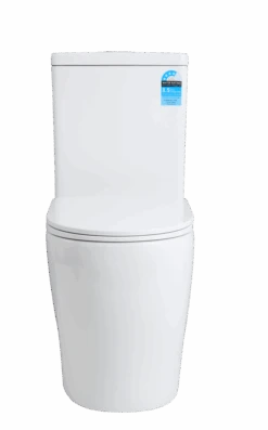 Zeus Rimless Tornado Toilet Suite | CETO -HERA BATHWARE zeus rimless tornado toilet suite cetotoiletkdk bathware 597636